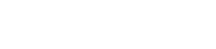 WmsScanner Logo